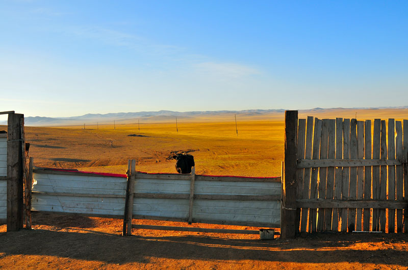 Mongolie